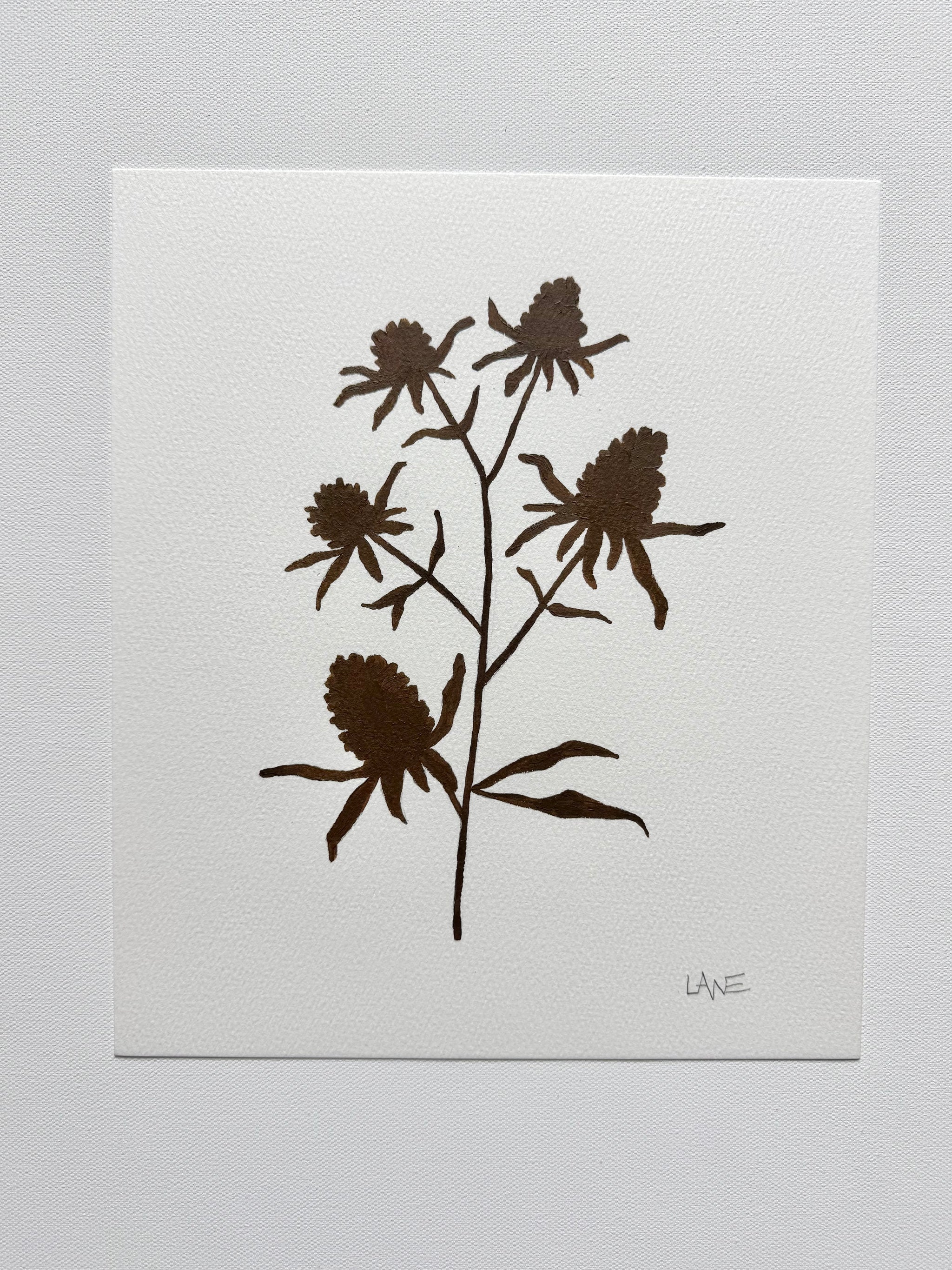 Wildflower No. 5