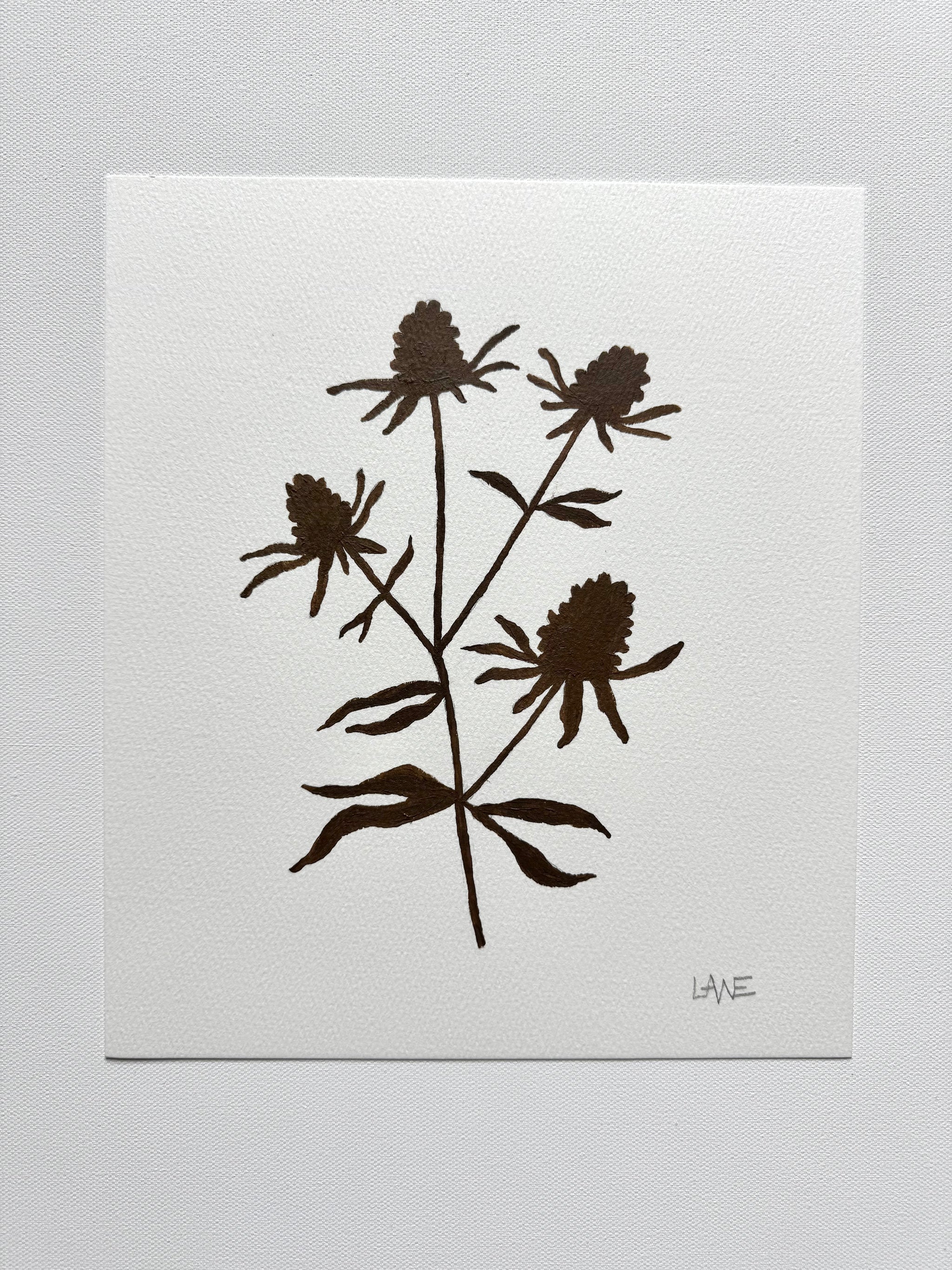 Wildflower No. 4