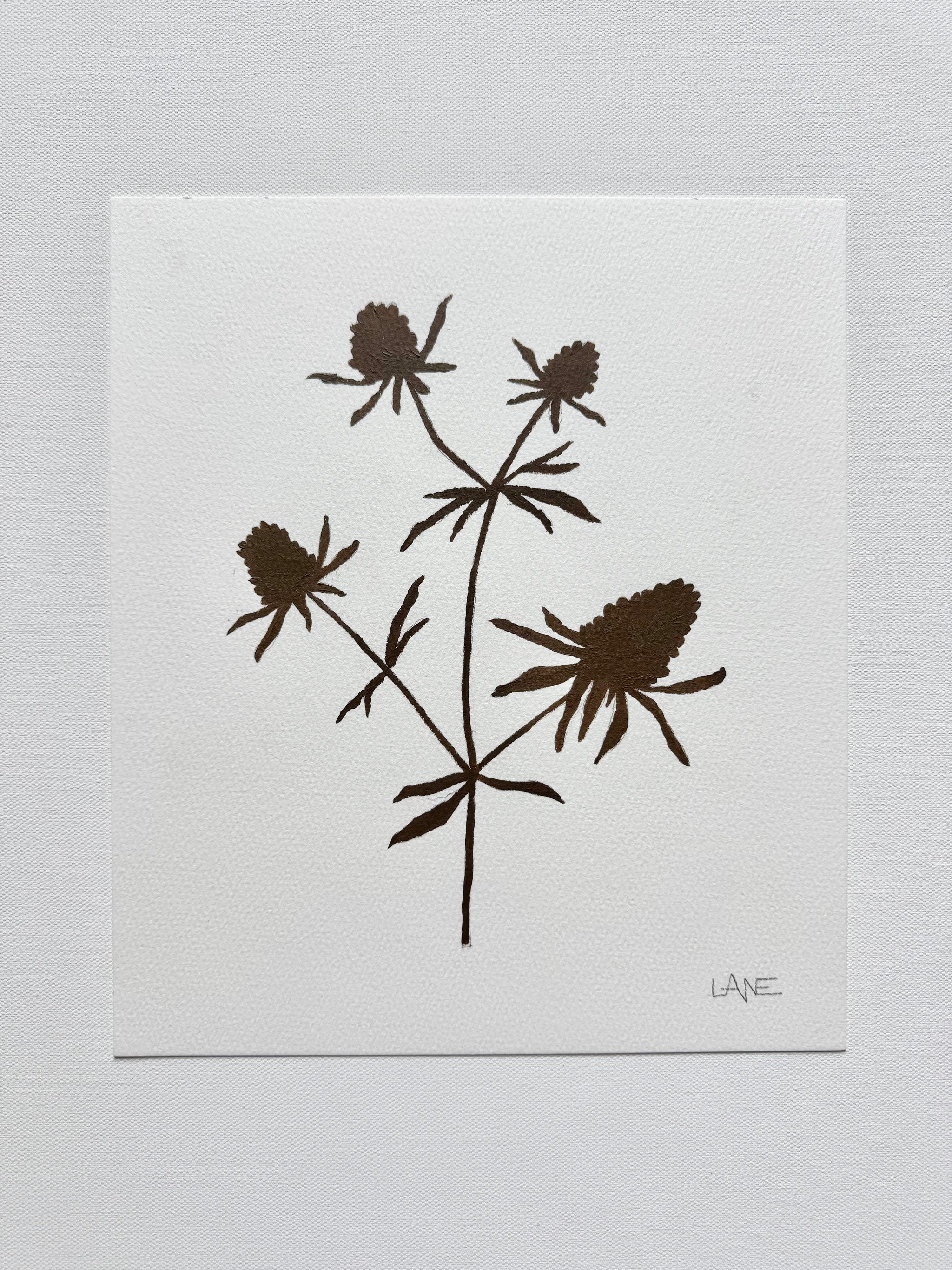 Wildflower No. 8
