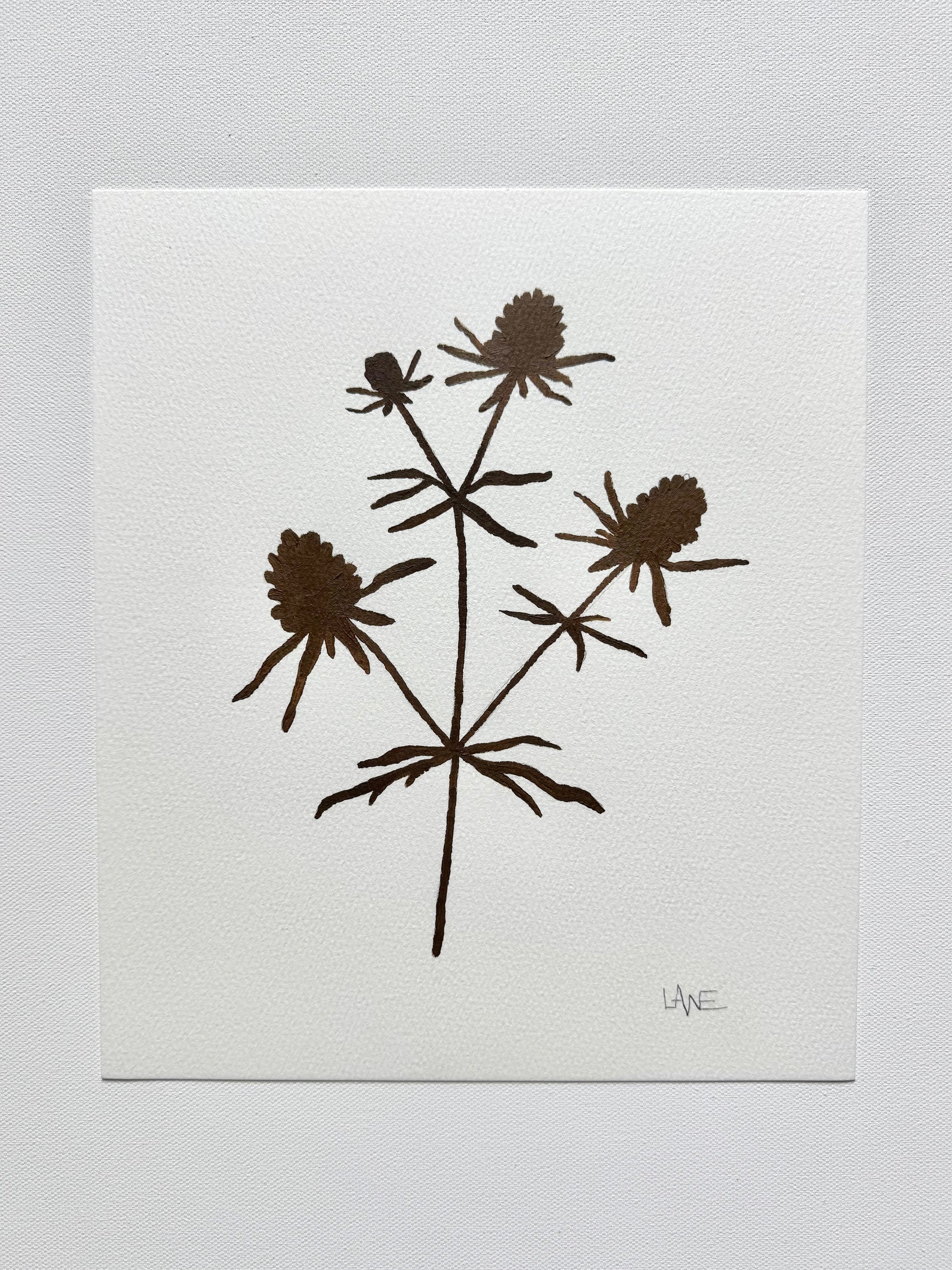 Wildflower No. 6