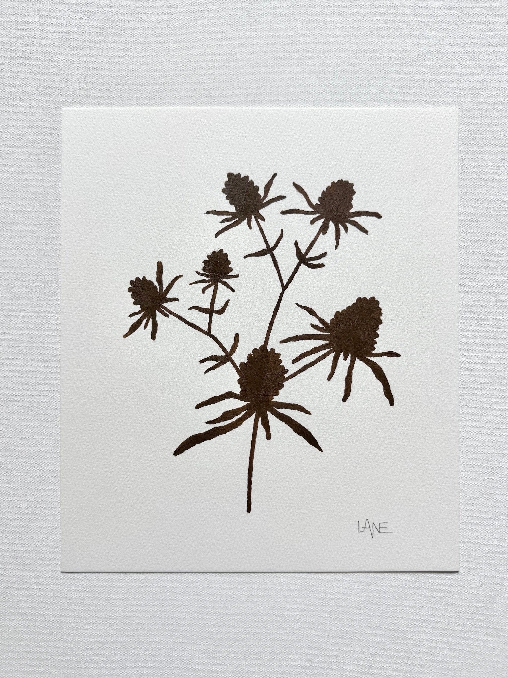 Wildflower No. 2
