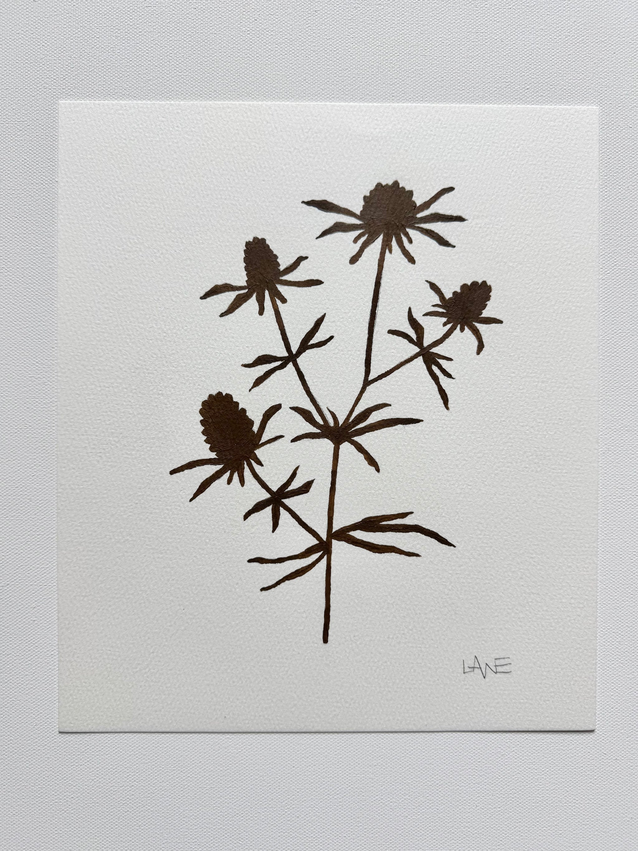 Wildflower No. 3
