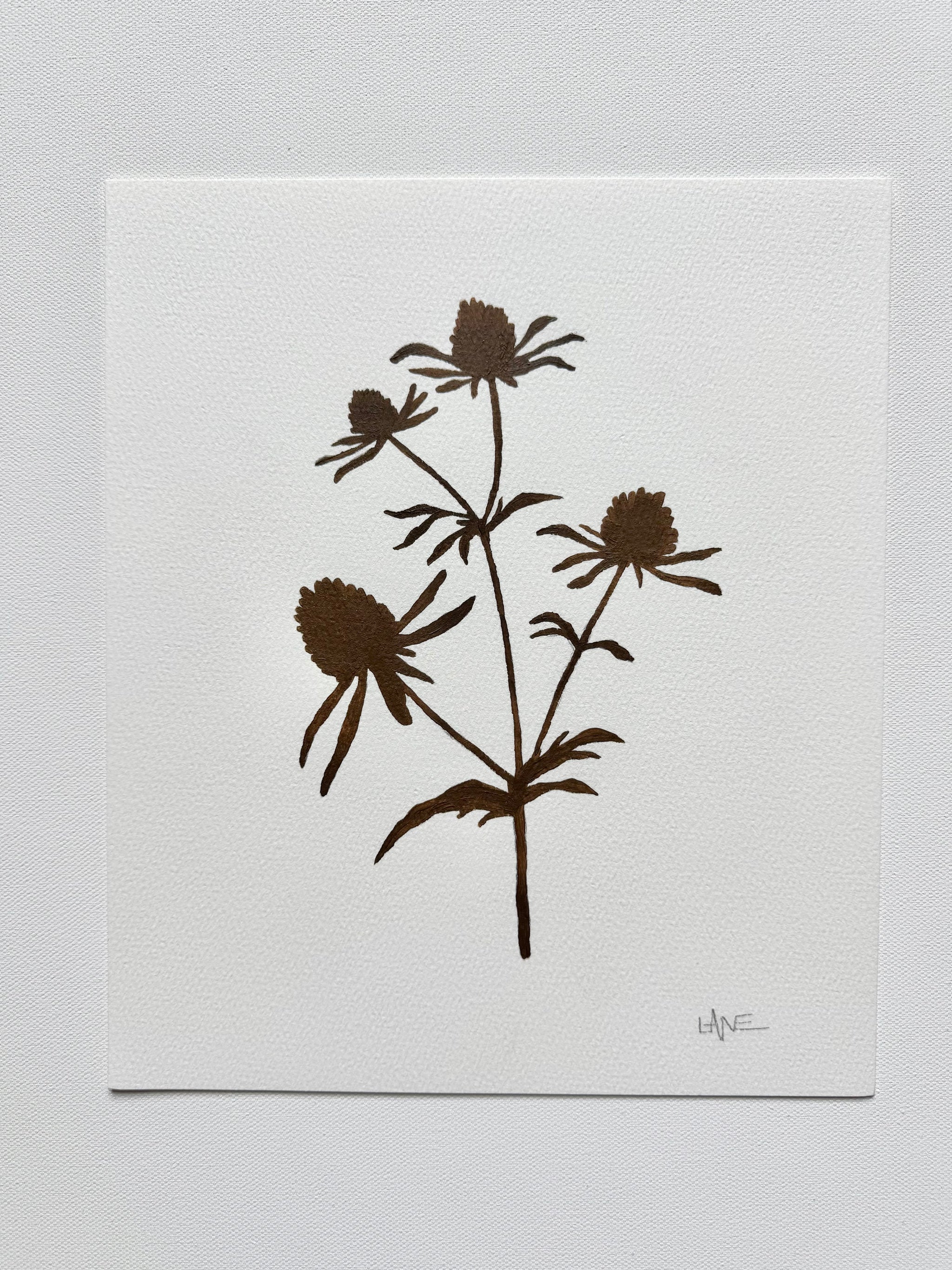 Wildflower No. 1