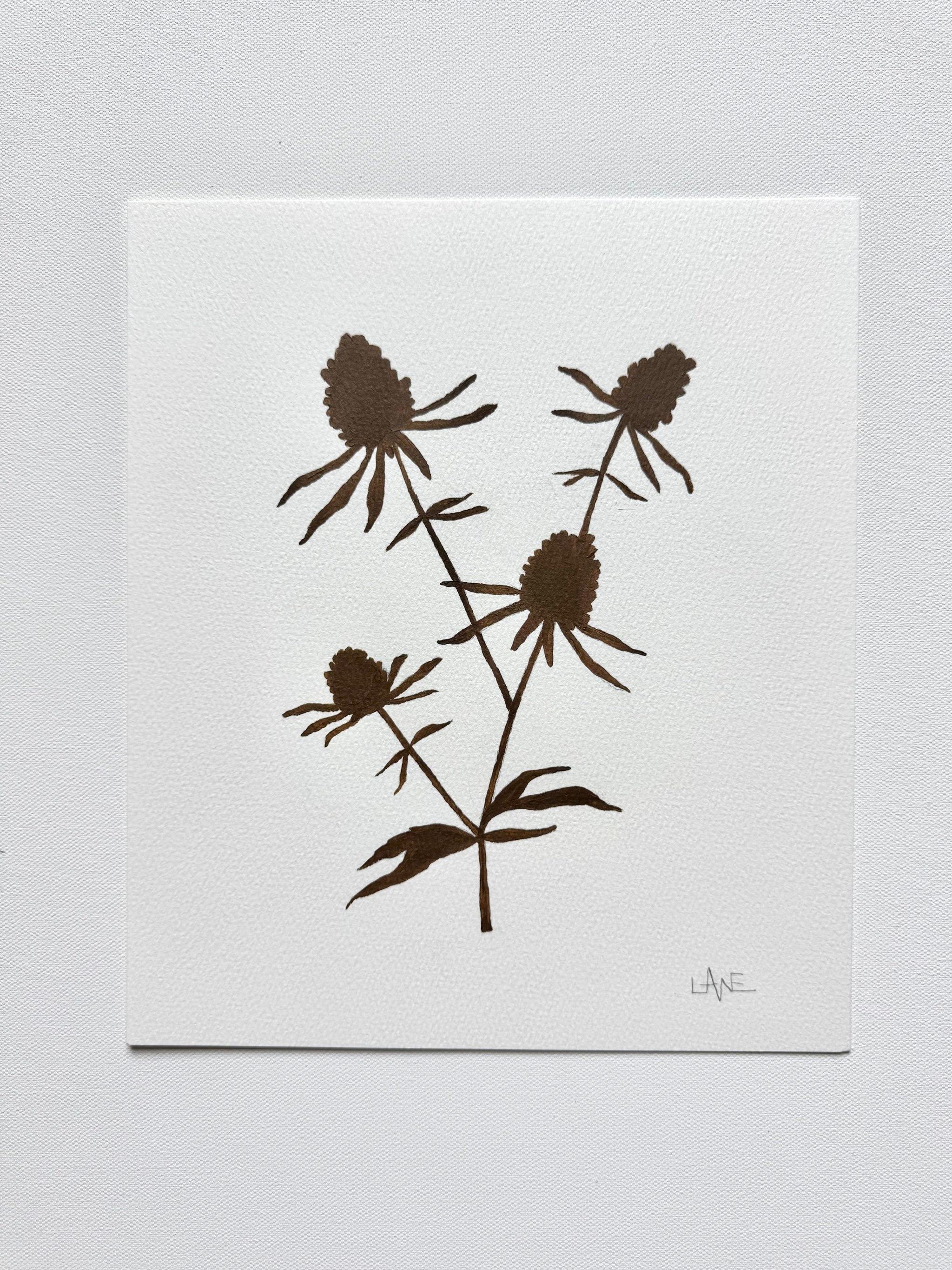 Wildflower No. 7