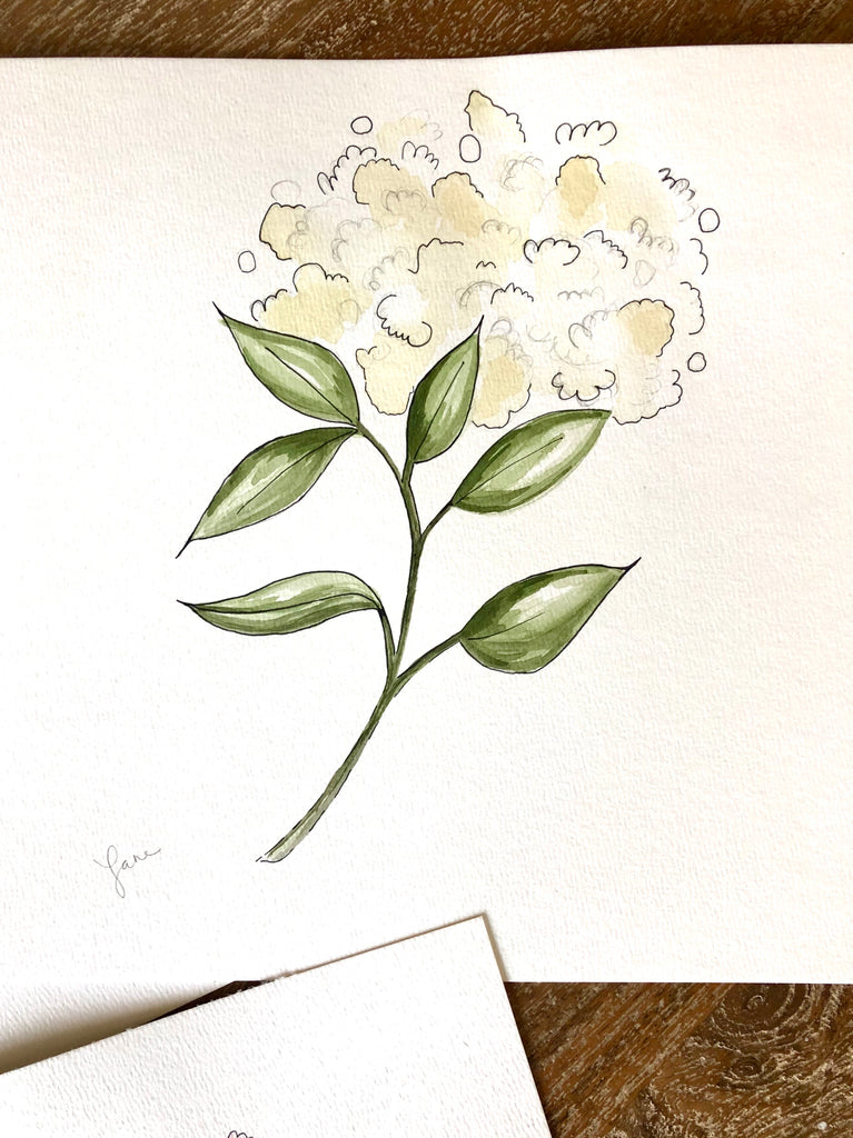 Hydrangeas