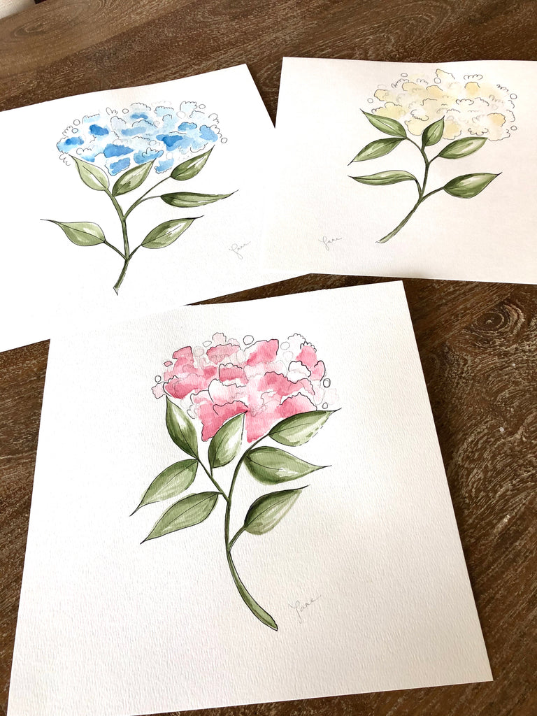 Hydrangeas
