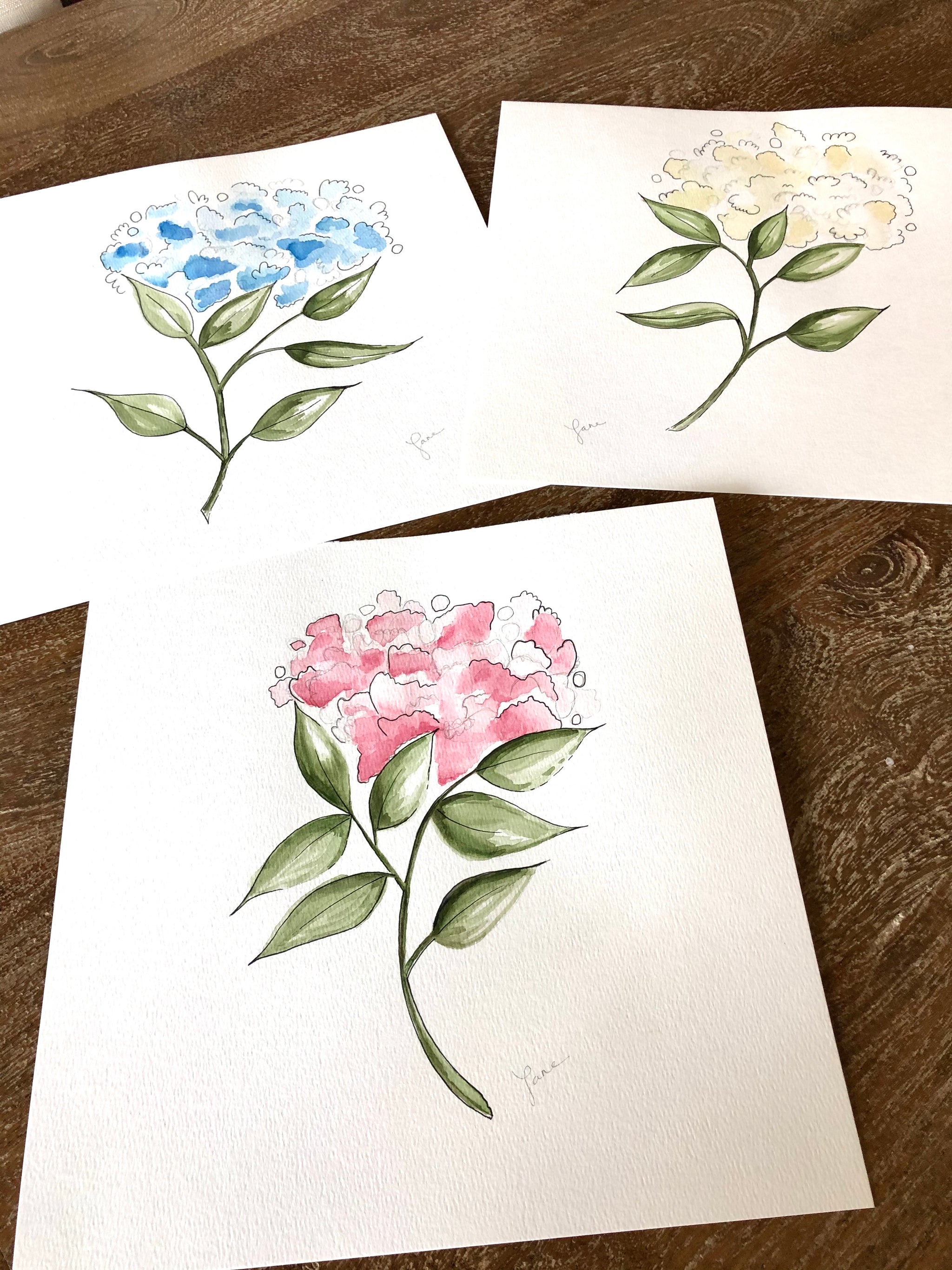 Hydrangeas