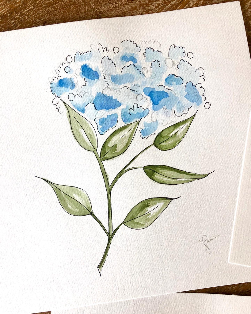 Hydrangeas