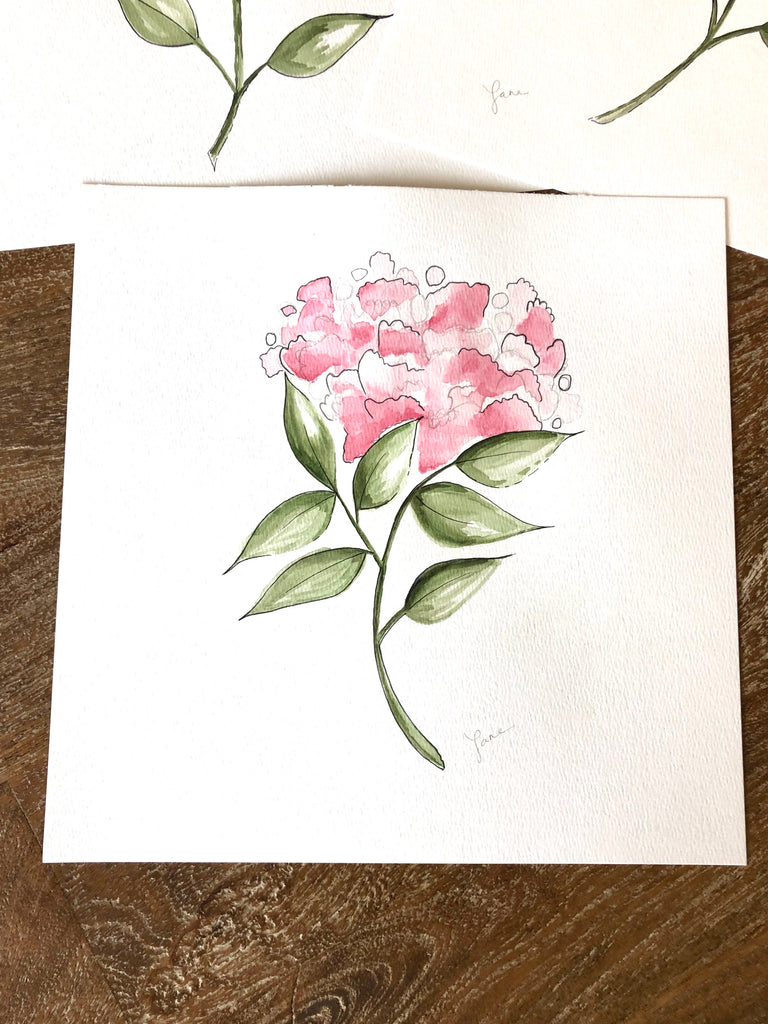 Hydrangeas
